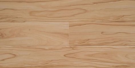 康地佳地板 木地板與木紋磚對比，哪個更好？附塑膠地板新選擇